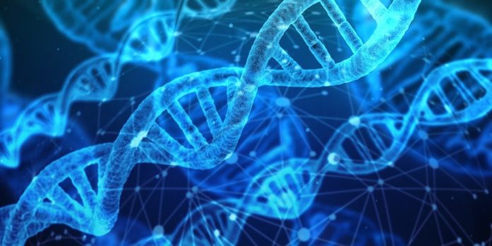 Could Data Files Be Stored as DNA?